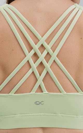 Beyond V2 Sports Bra in Reed Green